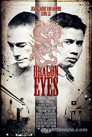 Ejderha Gözü 2012 Filmi Türkçe Dublaj Altyazılı Full izle