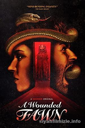 Yaralı Geyik 2022 Filmi Türkçe Dublaj Altyazılı Full izle