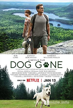 Kayıp Köpek 2023 Filmi Türkçe Dublaj Altyazılı Full izle