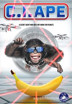 Gizli Ajan Şempanze 2021 Türkçe Dublaj Altyazılı Full izle