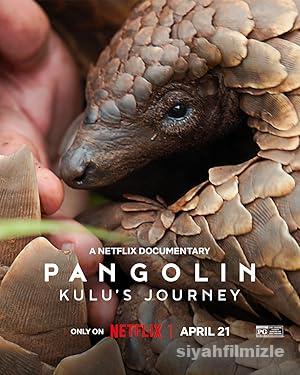 Pangolin: Kulu’nun Yolculuğu 2025 Filmi Türkçe Full izle