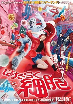 Cells at Work 2024 Filmi Türkçe Dublaj Altyazılı Full izle