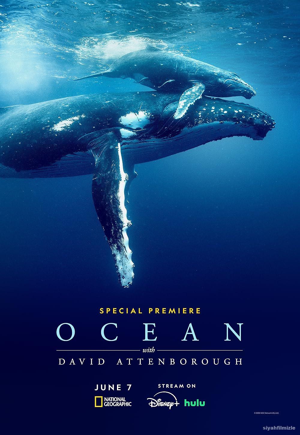 David Attenborough ile Okyanuslar 2025 Filmi Full izle