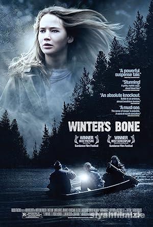 Gerçeğin Parçaları 2010 Türkçe Dublaj Altyazılı Full izle
