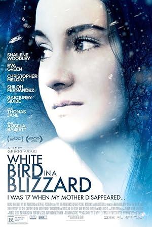 Karda Bir Beyaz Kuş 2014 Türkçe Dublaj Altyazılı Full izle