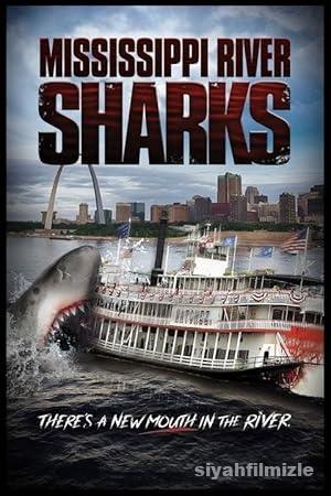 Mississippi Nehri Köpek Balıkları 2017 Türkçe Dublaj izle
